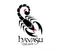 Havasu Gear Image